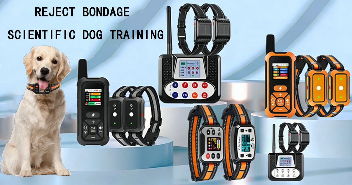 5 Smart Pet Gadgets That Will Transform Your Dog’s Life (And Your Peace of Mind)