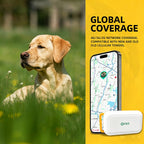 Pet GPS Tracker for Dogs & Cats - Real-Time Location, IPX7 Waterproof, Global Coverage Anti-Lost Device with Geofence & 365-Day Route History