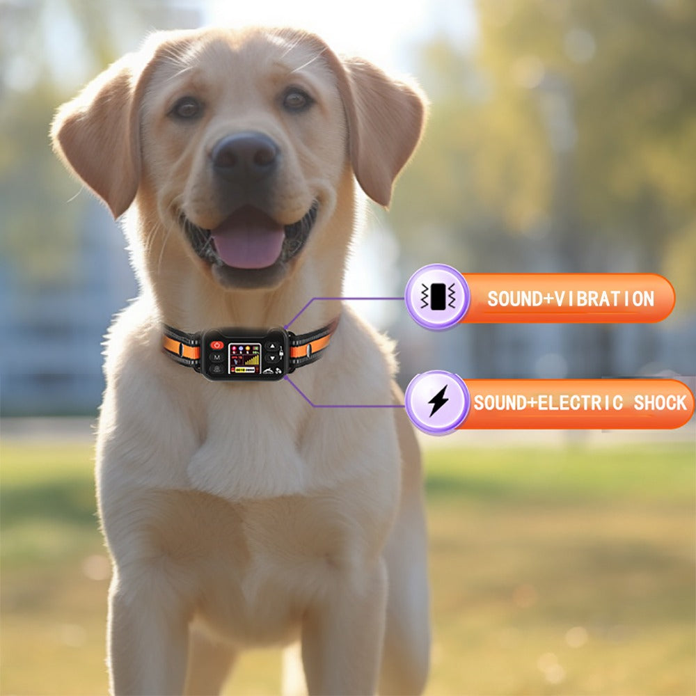 GPS Dog Training Collar with Remote – Waterproof, Rechargeable, Beep/Vibration/Shock Modes for All Breeds