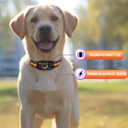 GPS Dog Training Collar with Remote – Waterproof, Rechargeable, Beep/Vibration/Shock Modes for All Breeds