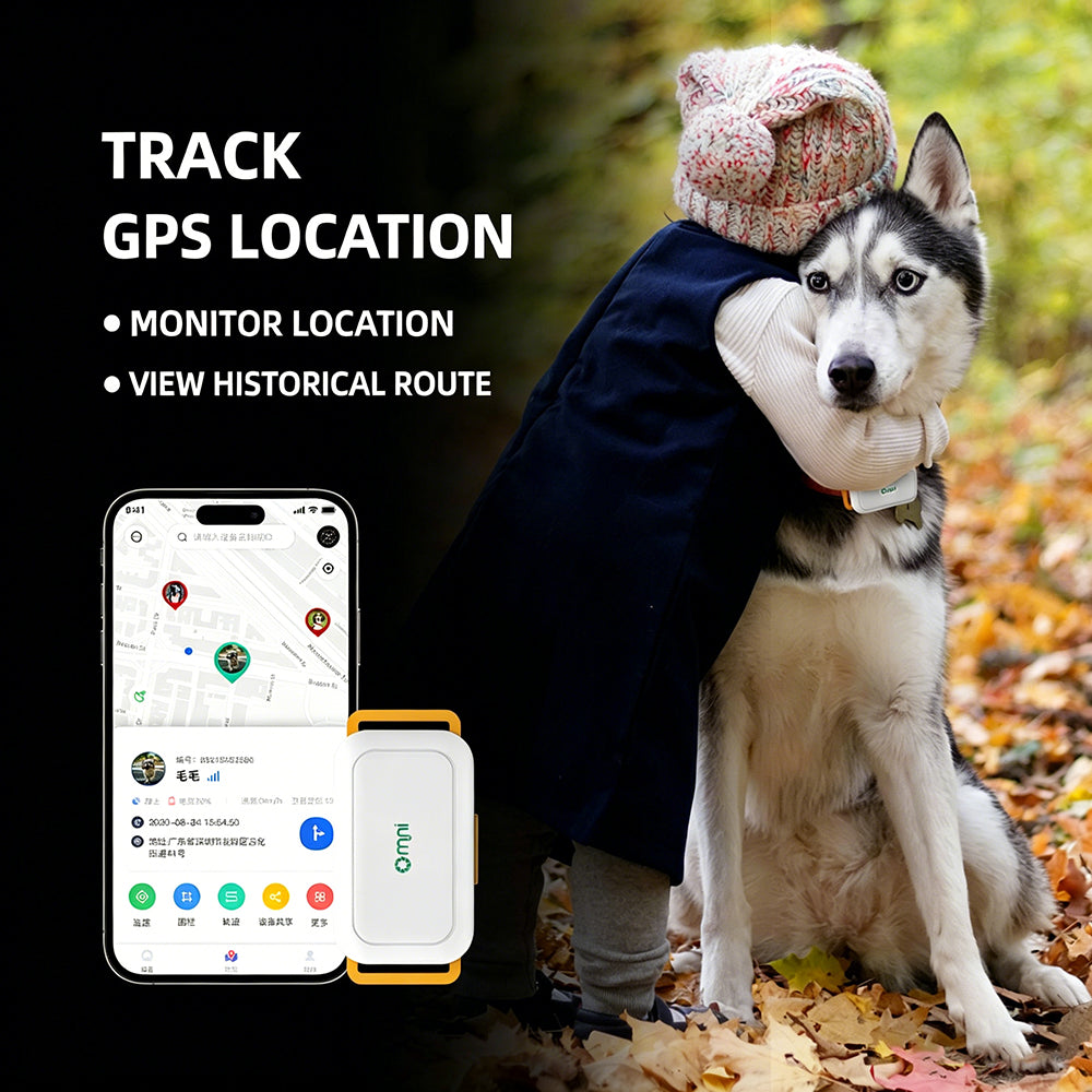 Pet GPS Tracker for Dogs & Cats - Real-Time Location, IPX7 Waterproof, Global Coverage Anti-Lost Device with Geofence & 365-Day Route History