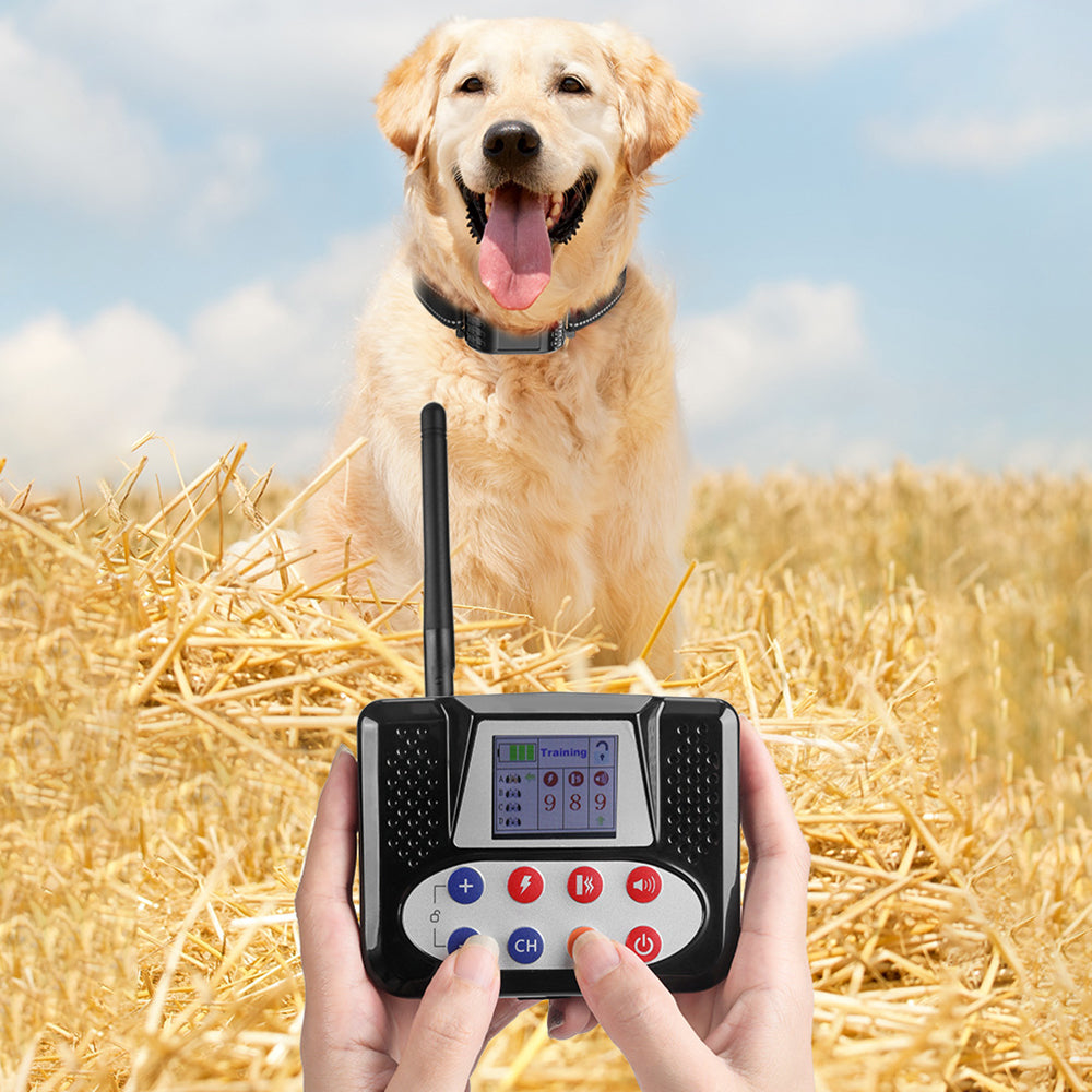 Dog Training Collar with Remote, 4-Dog System Waterproof Rechargeable E-Collar for Large Medium Small Dogs