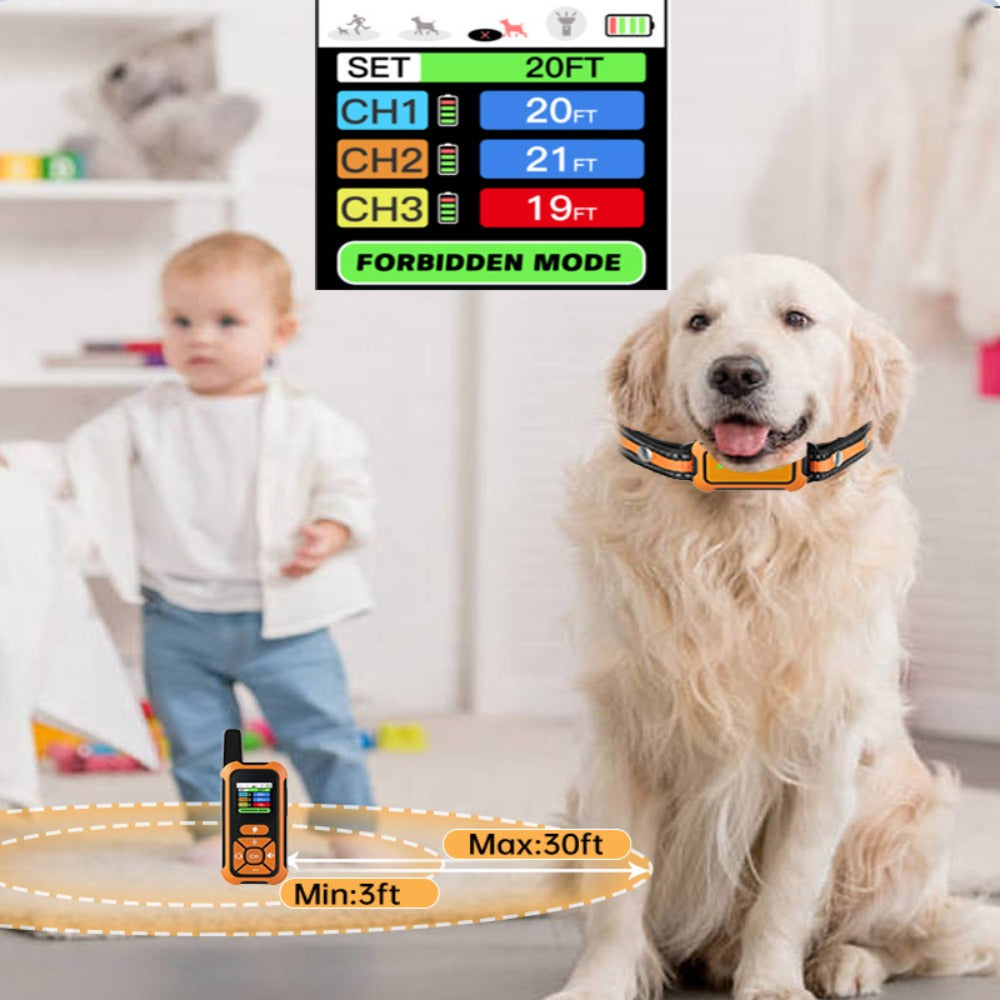 3 Dog GPS Fence & Training Collar with Color Screen, 330FT Range, IP67 Waterproof, Rechargeable Dog Trainer with Beep/Vibration/Shock Modes for All Dog Sizes