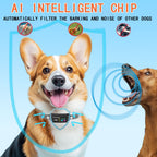 LED Display Smart Dog Collar - GPS Tracking & Activity Monitor for Pet Safety, Waterproof Adjustable Nylon Strap