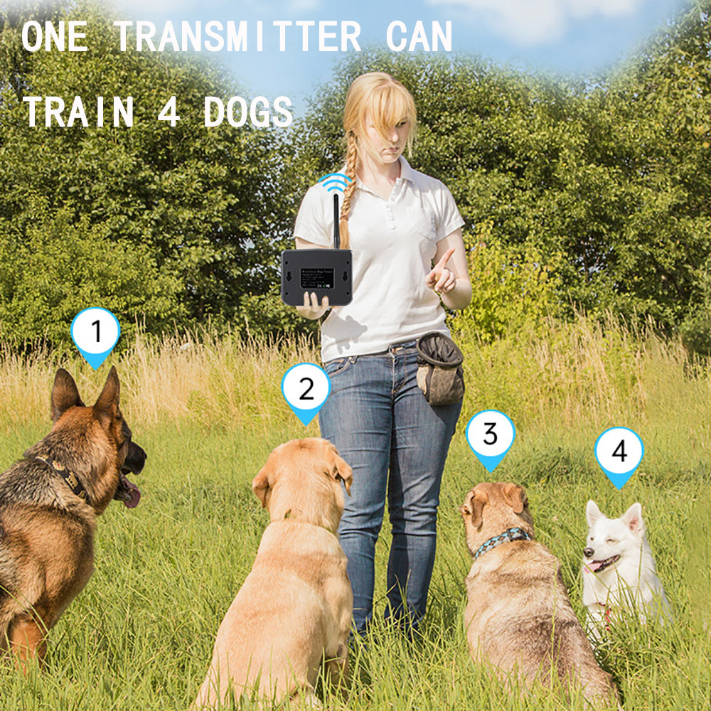 Dog Training Collar with Remote, 4-Dog System Waterproof Rechargeable E-Collar for Large Medium Small Dogs