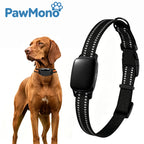 GPS Dog Tracker Collar, 5G Real-Time Location Pet Tracker with Anti-Lost Alarm, IP67 Waterproof for Dogs