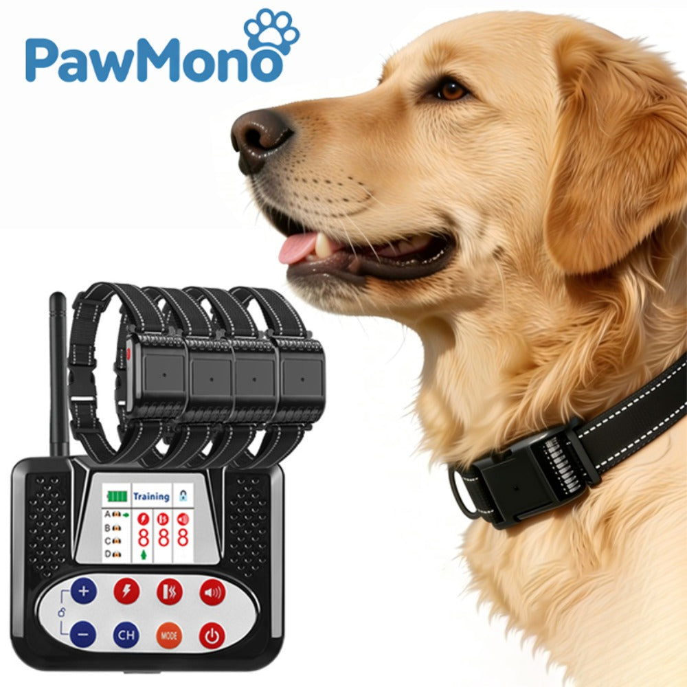 Dog Training Collar with Remote, 4-Dog System Waterproof Rechargeable E-Collar for Large Medium Small Dogs