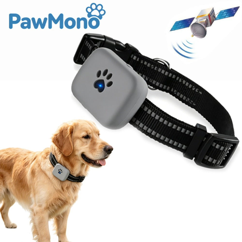 Waterproof GPS Pet Tracker Collar, Real-Time Location & Activity Monitor for Dogs & Cats with Geo-Fence, Historical Trajectory & Long Battery Life