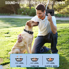 Dog Training Collar with Remote, 4-Dog System Waterproof Rechargeable E-Collar for Large Medium Small Dogs