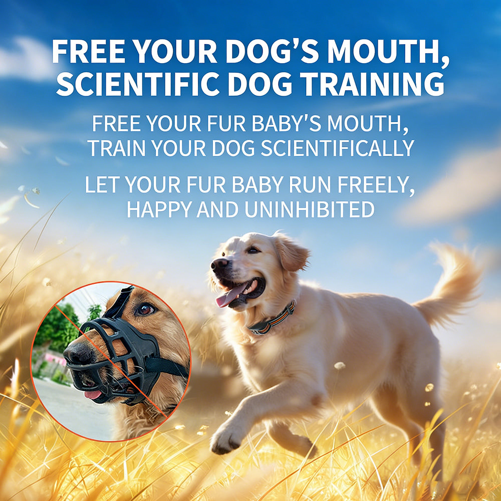 2-in-1 Wireless Dog Fence & Training Collar with Remote - 1600FT Range, IPX7 Waterproof, 3 Training Modes for Small Medium Large Dogs