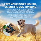 2-in-1 Wireless Dog Fence & Training Collar with Remote - 1600FT Range, IPX7 Waterproof, 3 Training Modes for Small Medium Large Dogs